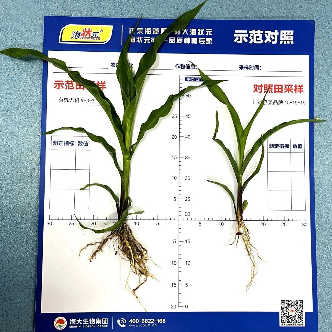 币游·国际(中国)最新官方网站