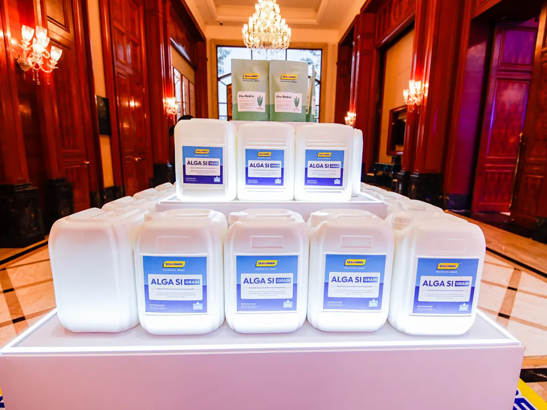 币游·国际(中国)最新官方网站